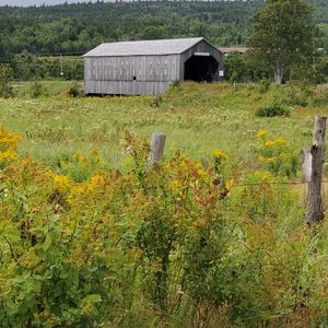 Meet your Posher, Cat